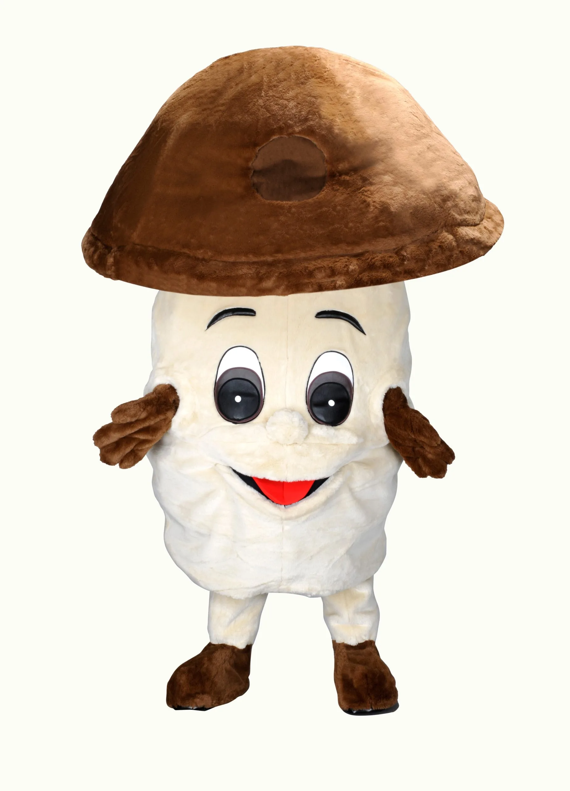 Champignonpak – Champ De Champignon 3 Champignonpak – Champ De Champignon