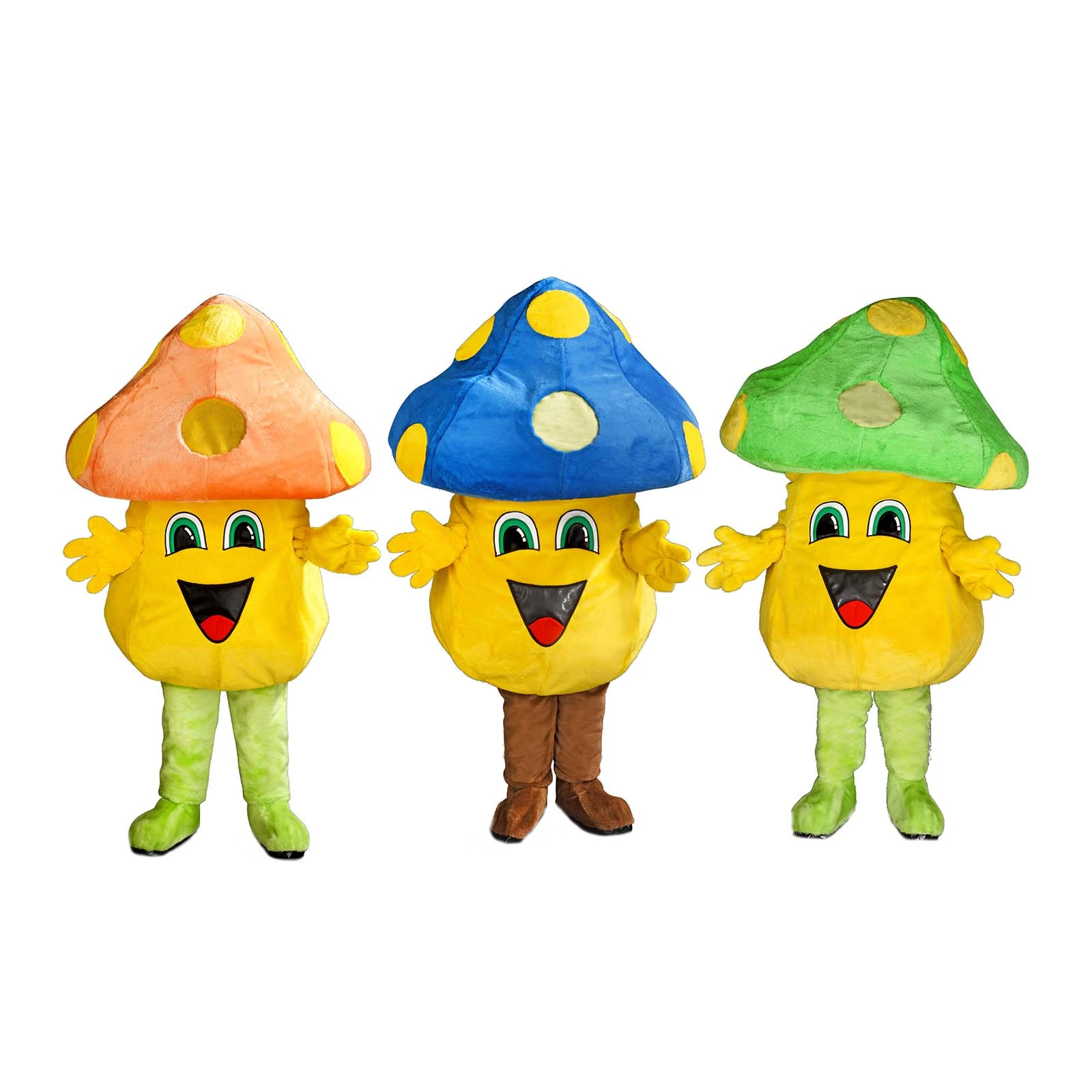 Champignonpak – Rocky De Champignon 5 Champignonpak – Rocky De Champignon - Afbeelding 3