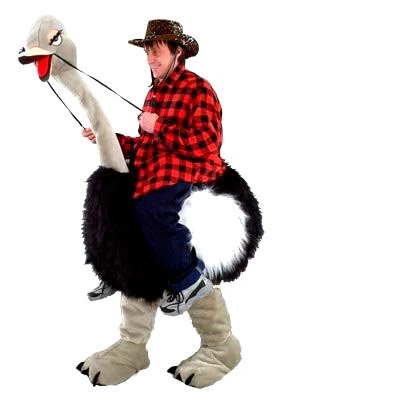 Struisvogelpak – Olivia De Struisvogel 8 Struisvogelpak – Olivia De Struisvogel - Afbeelding 6