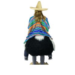 Struisvogelpak – Olivia De Struisvogel 12 Struisvogelpak – Olivia De Struisvogel -Overig Winkel Struisvolgelfilter3