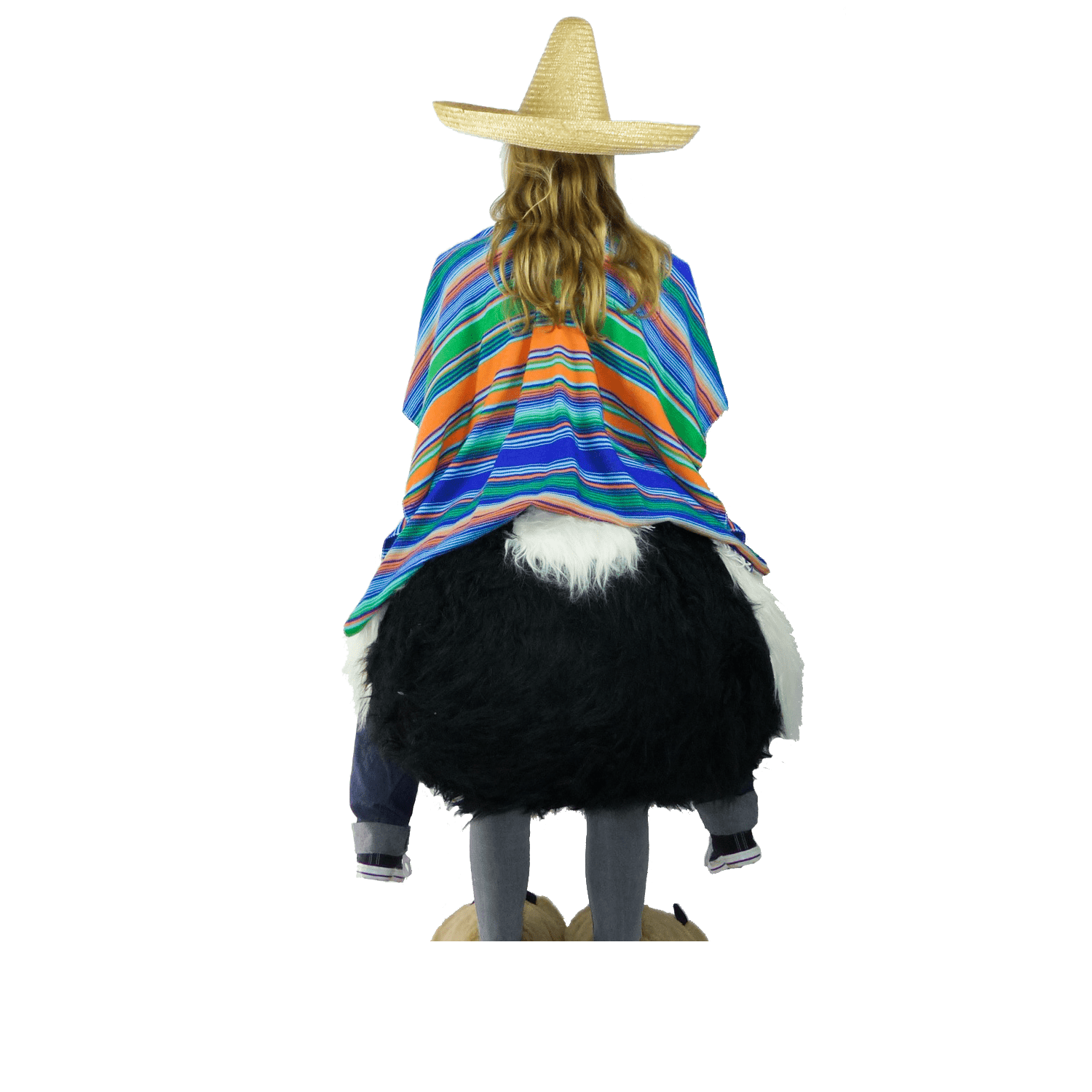 Struisvogelpak – Olivia De Struisvogel 7 Struisvogelpak – Olivia De Struisvogel - Afbeelding 5