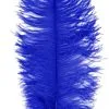 Overig Baret Struisvogelveer Blauw 60-70cm -Overig Winkel baret struisvogelveer blauw 60 70cm