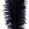 Overig Baret Struisvogelveer Zwart 60-70cm -Overig Winkel baret struisvogelveer zwart 60 70cm