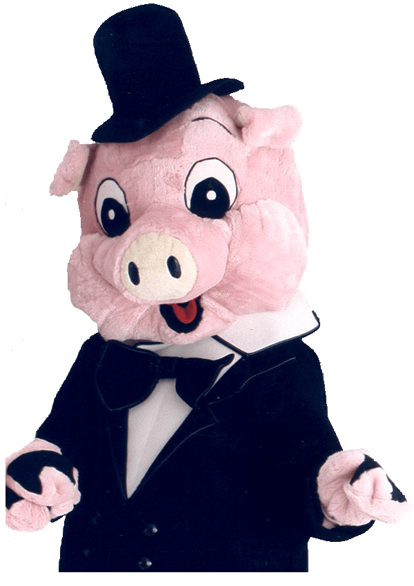 Varkenspak – Harry Het Varken 4 Varkenspak – Harry Het Varken - Afbeelding 2