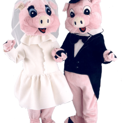 Varkenspak – Harry Het Varken 7 Varkenspak – Harry Het Varken -Overig Winkel marie1e 1