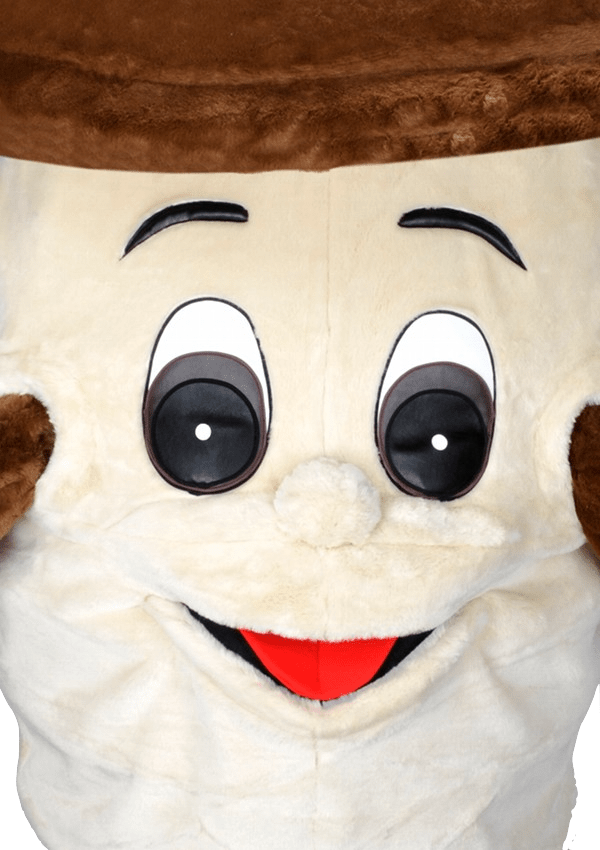 Champignonpak – Champ De Champignon 4 Champignonpak – Champ De Champignon - Afbeelding 2