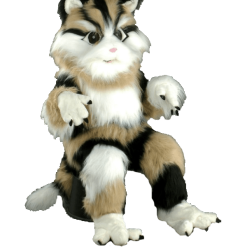 Kattenpak – Nilo De Kat