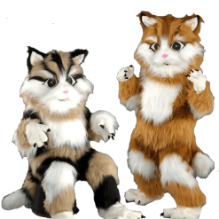 Kattenpak – Nilo De Kat -Overig Winkel mascotte chat roux 1e 1