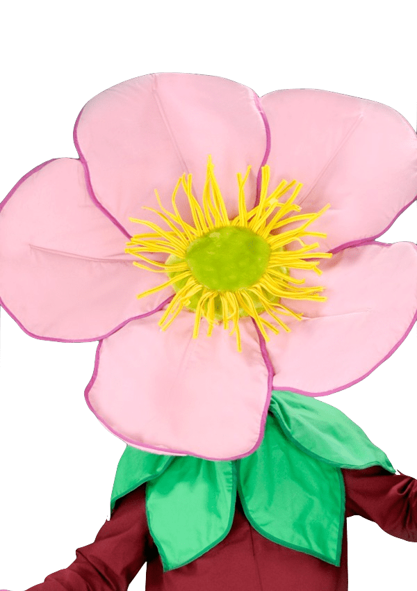 Bloemenpak – Daisy De Dansende Bloem 4 Bloemenpak – Daisy De Dansende Bloem - Afbeelding 2