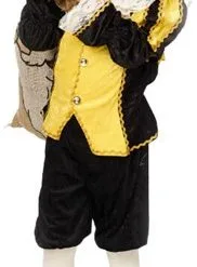 Overig Geel-Zwart Pietenpakje Kind Luxe -Overig Winkel pietenpakje kind geel zwart luxe 2